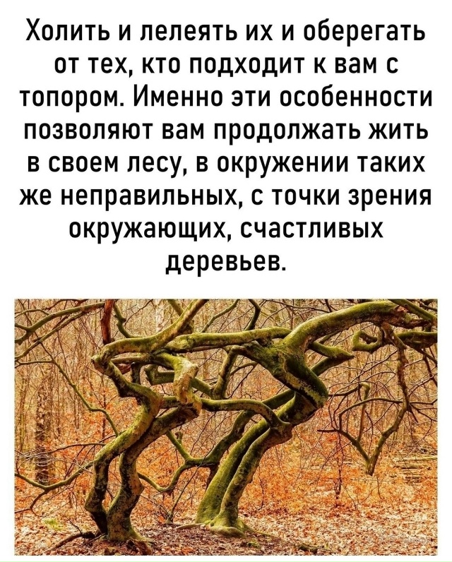 Наши особенности