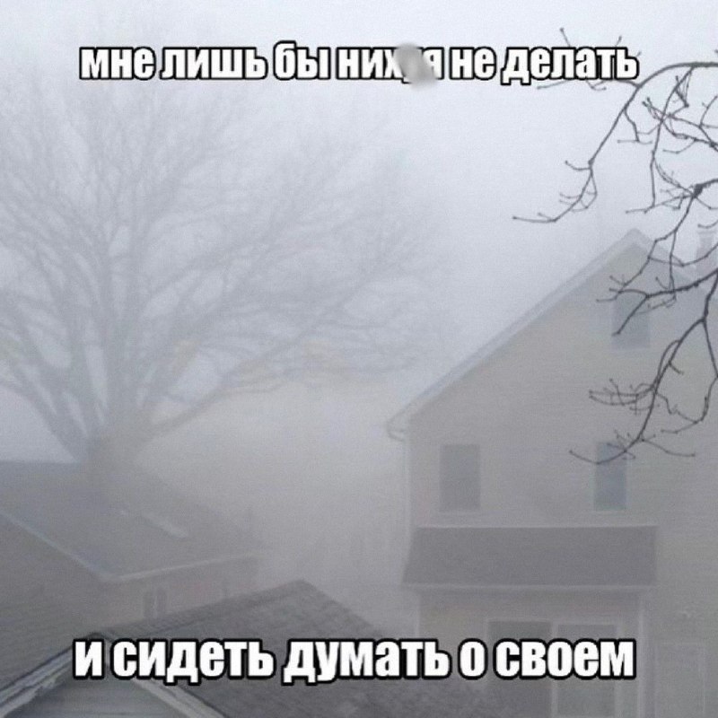 Утренняя подборочка
