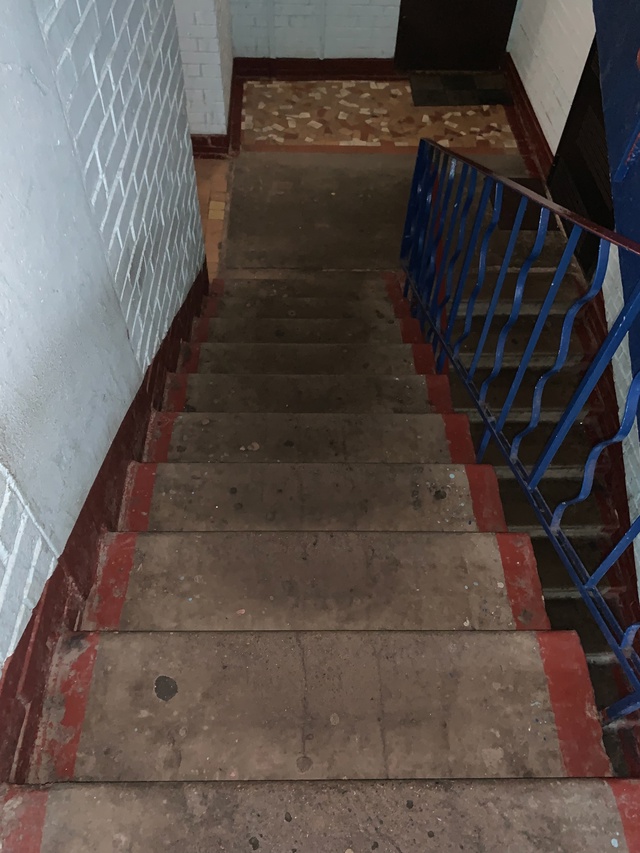 Подскажите пожалуйста, что за беда, чем моют парадные и...