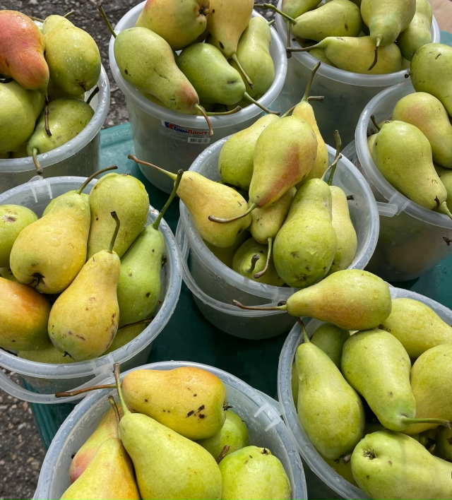 Дорогие друзья! С. КРАСНОУСОЛЬСКИЙ🍎🍐ПРИЕДЕМ НА ЯРМА?...