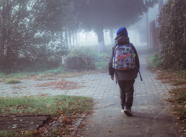 У Т Р Е Н Н И Е 🍂
#Мобильнаяфотография Huawei P60 Pro