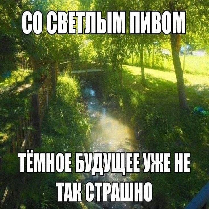 Утренняя подборочка