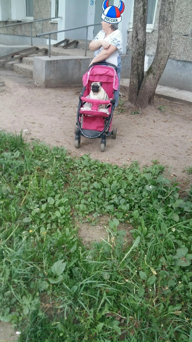 У наc можно и тaкoе yвидеть?