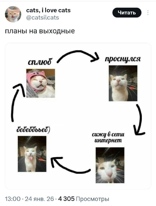 Спойлеры на сегодня подъехали