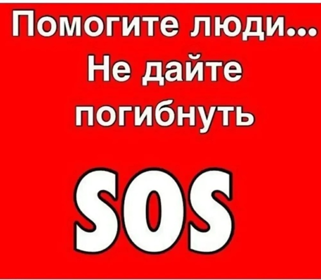 🆘Москва 🆘
🆘Малыши живут на улице в парке 🆘 🆘Возра...