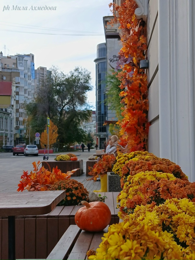 Самара городок.
Последние дни октября.🍂