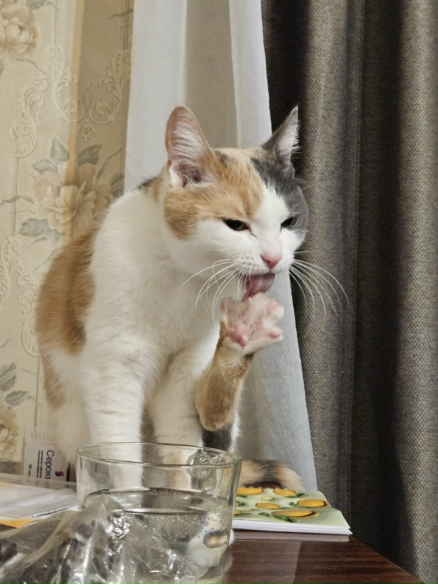 Ну штош, я считаю, что я ебанько, а мне сказали, что я с д?...