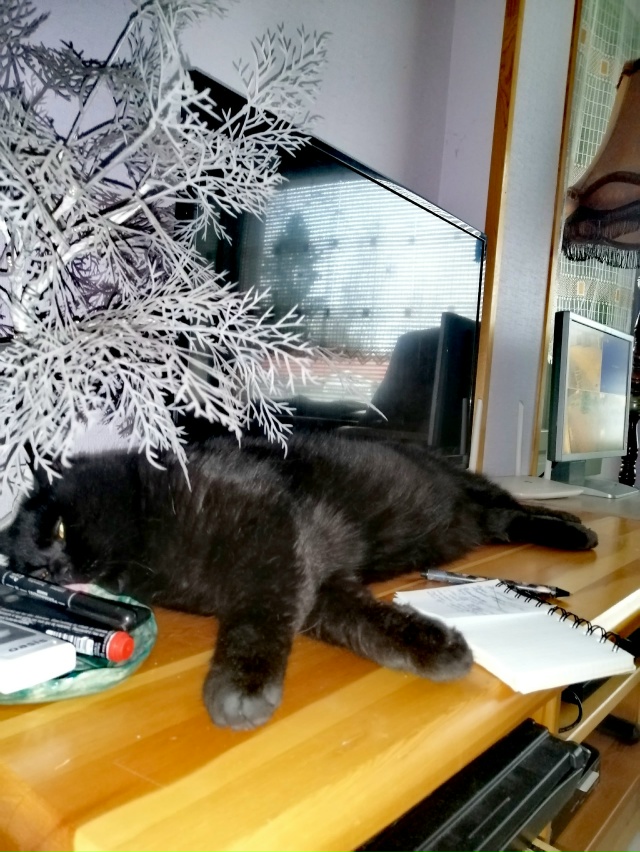 Мои брутальные ребята... Мои хозяева в доме... Мои хвоста...