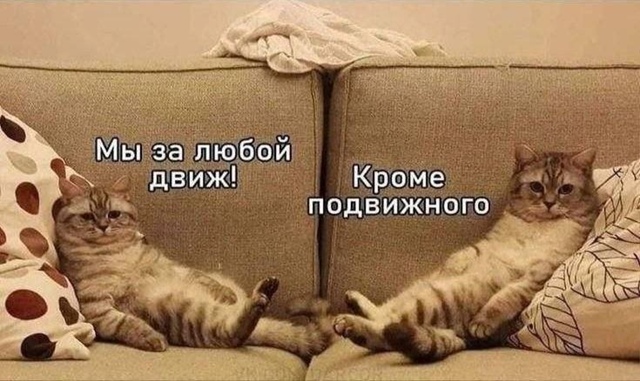 А как твои выходные проходят?