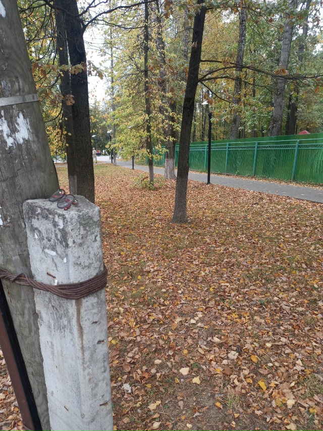 Потеряли на тротуаре 26.09,положила на столб(возможно шк?...