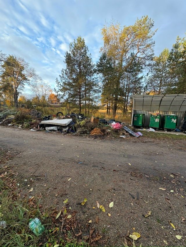 Луга-2 улица Восточная