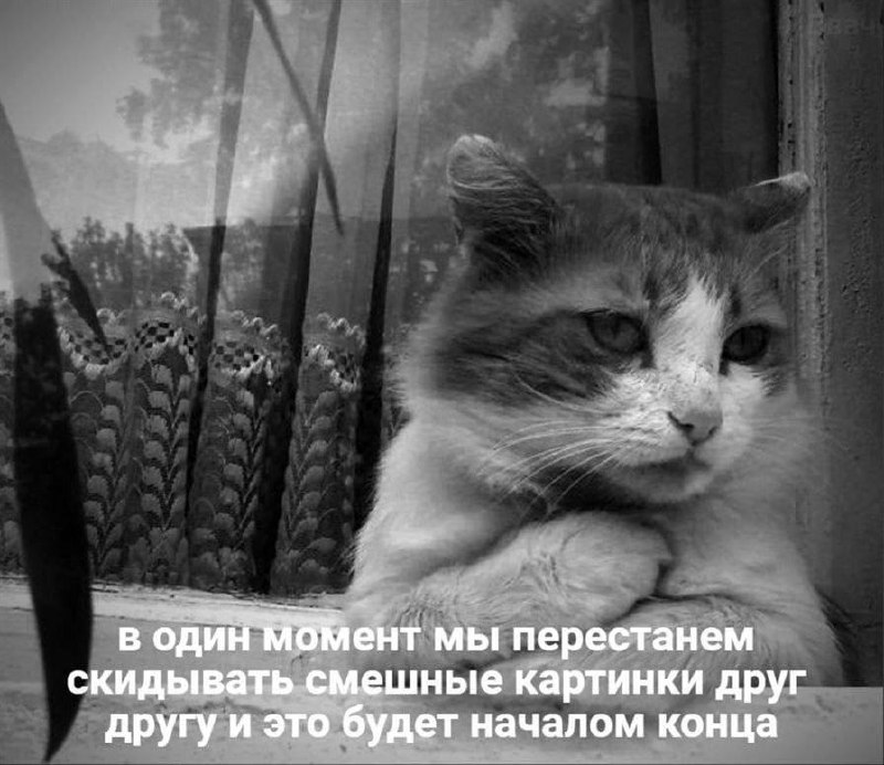 Утренняя подборочка