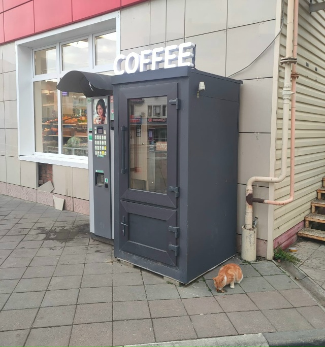 Никто не терял кошечку? Видно, что домашняя, ухоженная, ...