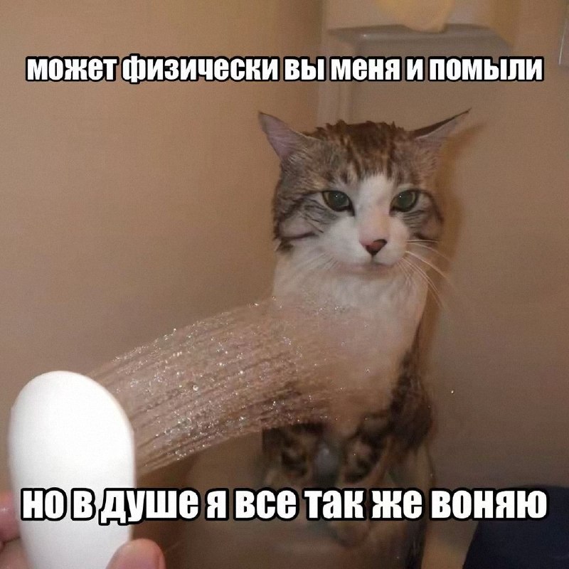 Утренняя подборочка