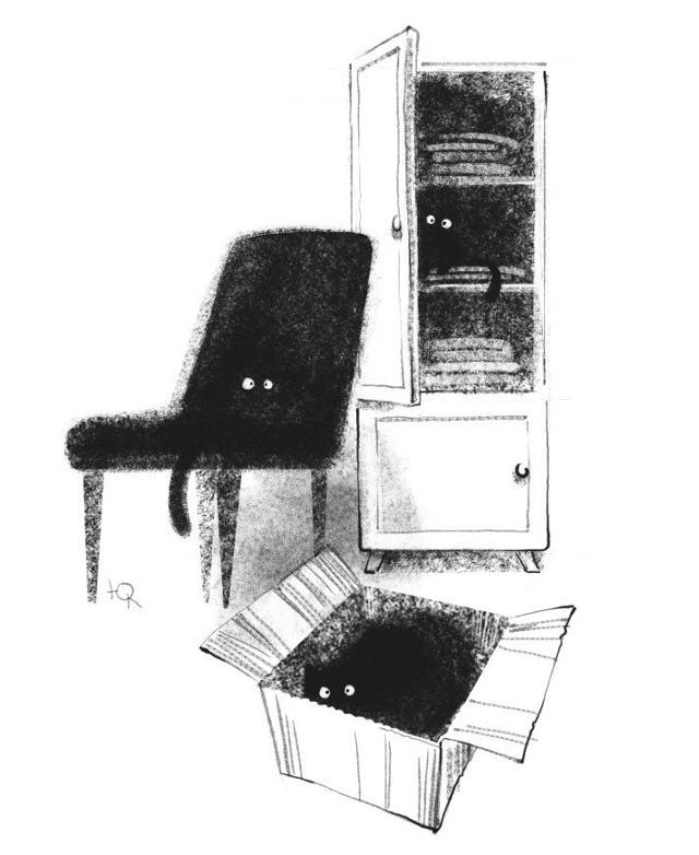 Заведи себе котика, говорили они..