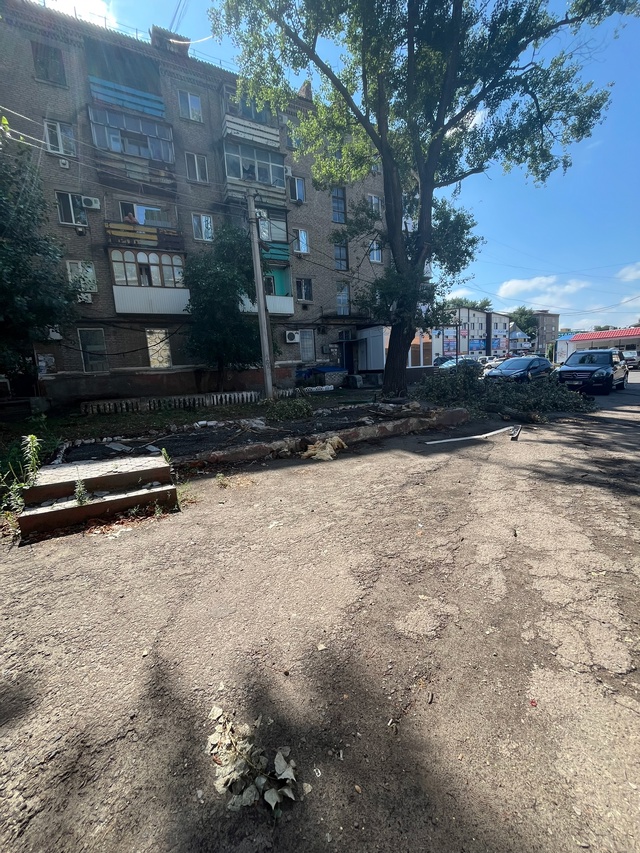 Возле рынка убрали ларьки, а мусор в виде веток не осил?...