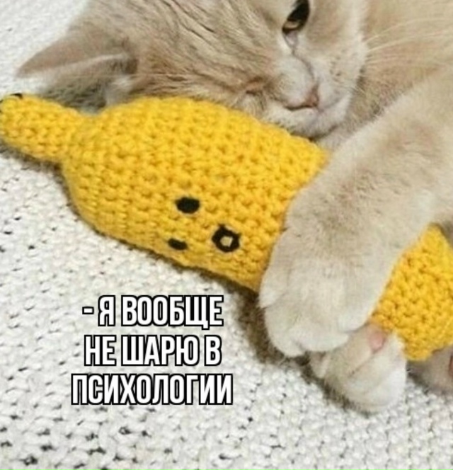 Как все это знакомо