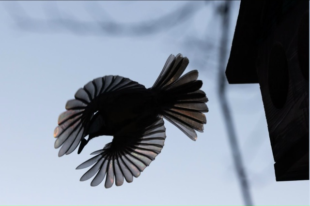 Придумайте подпись к фото. Ваши варианты ждем в коммен?...