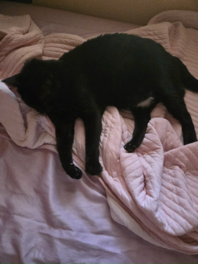 #БляцкаяДжолин #чёрнаяхтонь
Свет и Тьма в моей жизни.
О...