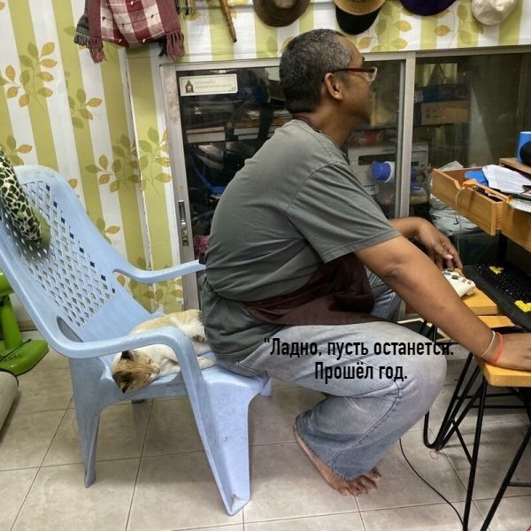 6 брутальных мужчин, которые твёрдо уверены: «Место кот...