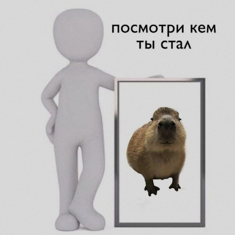 Ночная подборочка
Спать, режим