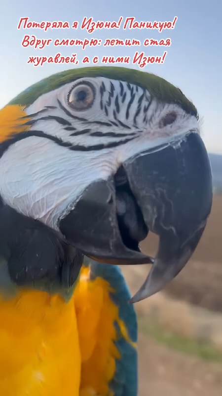 Кажется, он всем доволен