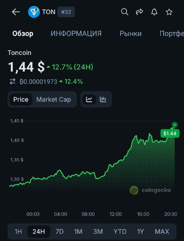 Павлино-бомбардиро что-то задумало