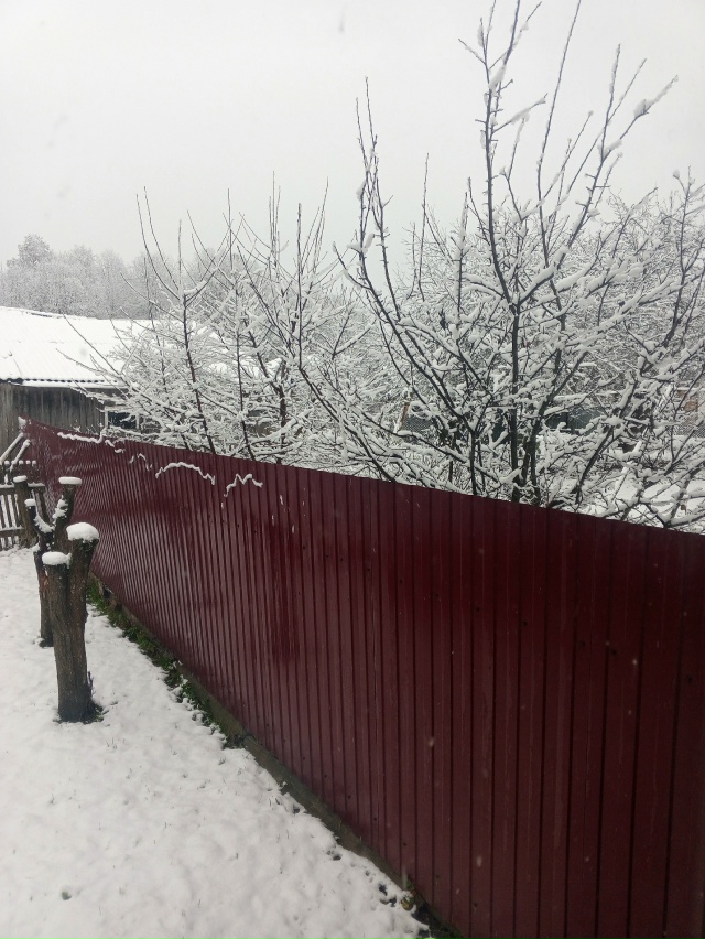 Вчерашняя красота❄️
от подписчиков