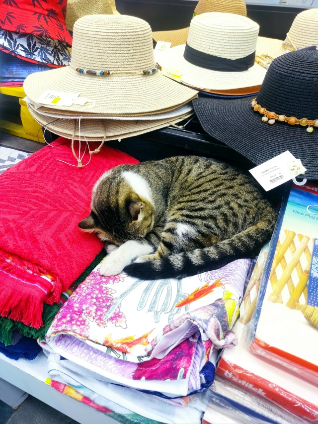 Шляпных дел мастер