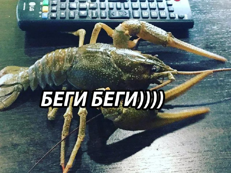 Долгие пробежки могут повысить риск рака кишечника
У бегунов 35–50 лет чаще находят предраковые опу