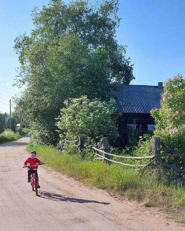 На каникулах в деревне у бабушки