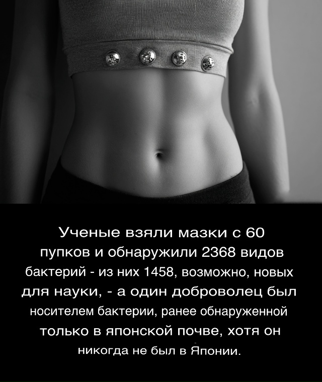 Исследование показало, что пупки содержат удивительно...