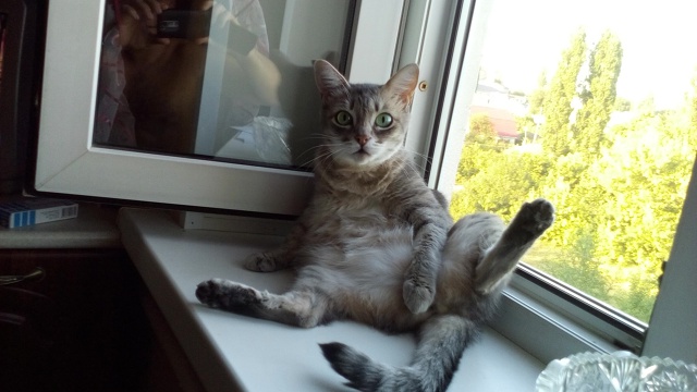 Но но,я же девочка!