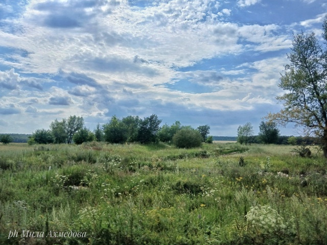 Бахиловские поля.🌻🌿Самарская лука.
г.о Жигулевск, С?...