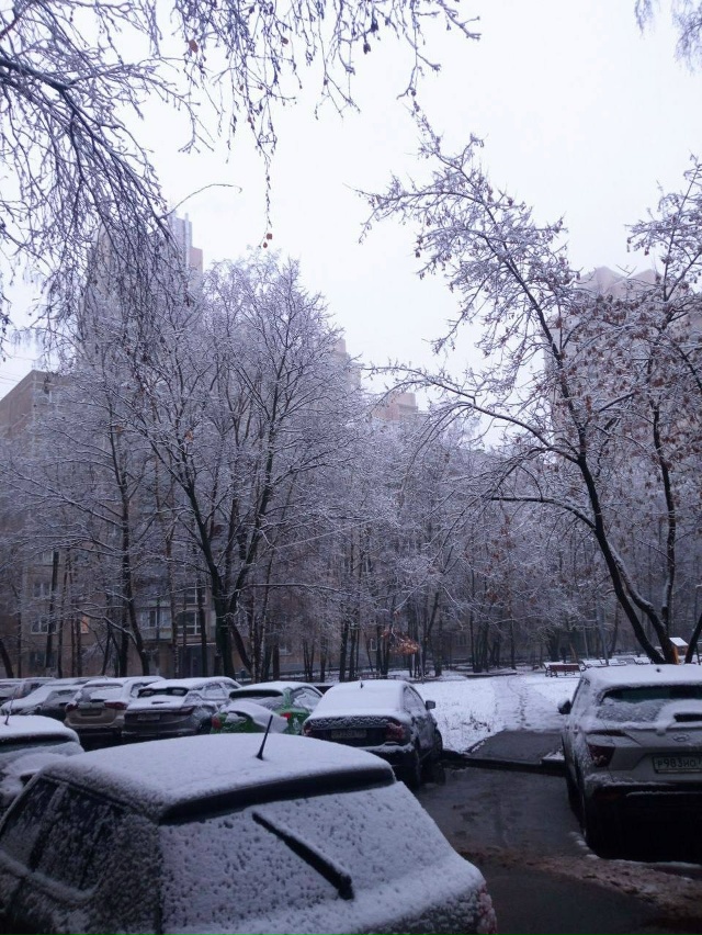 С первым снегом, Балашиха!
За окном – белая сказка. И ?...