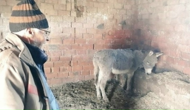 Myжчину на фотографии зовут Мехмет, он живет в Typции. Поч...