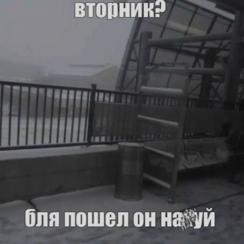 Ночная подборочка
Спать, режим