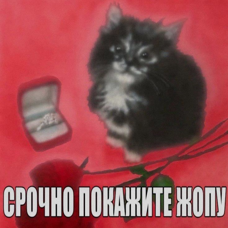 Ночная подборочка
Спать, режим