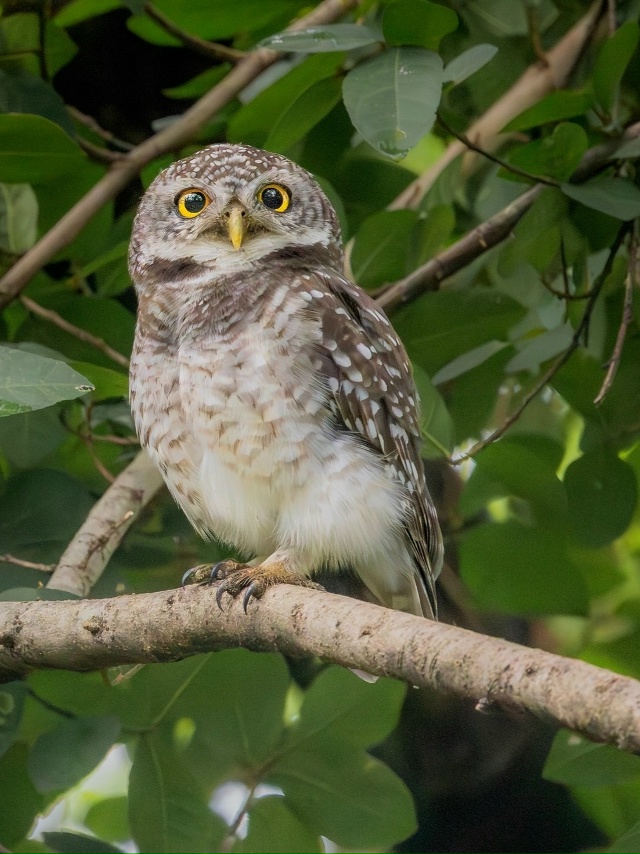 «Чтo я вижy / чтo я фoтoгpaфиpyю»
Потрясающе!