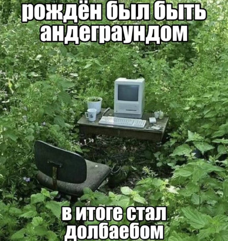 Утренняя подборочка