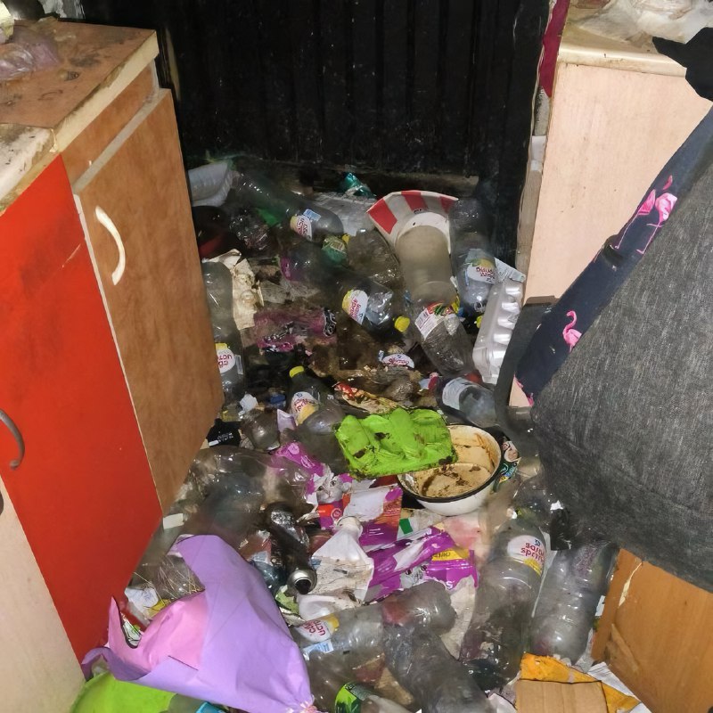 Российская альтушка превратила съёмную квартиру в свалку — среди мусора даже нашли мёртвую кошку
Жи