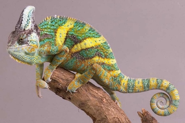 1, 2, 3 и 4 ноября в г. Тамбов в ТРЦ Рио с 10-00 до 20-00 пройдёт с...