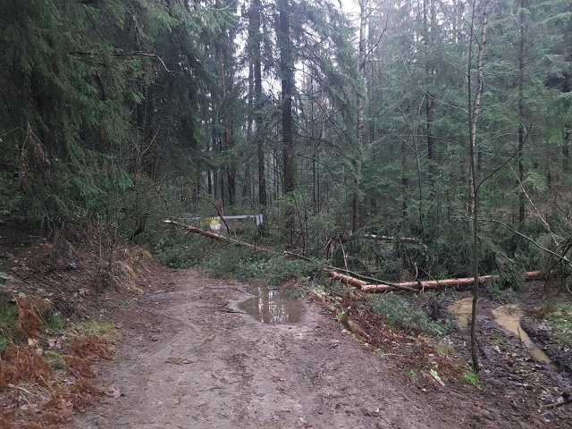 Сегодня утром обнаружила объявление о том, что вход в О...
