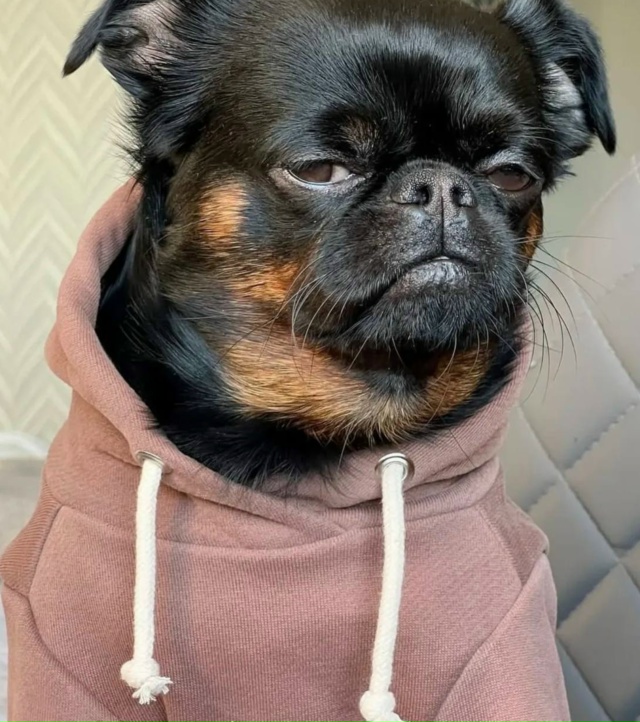 Просто я каждый день: