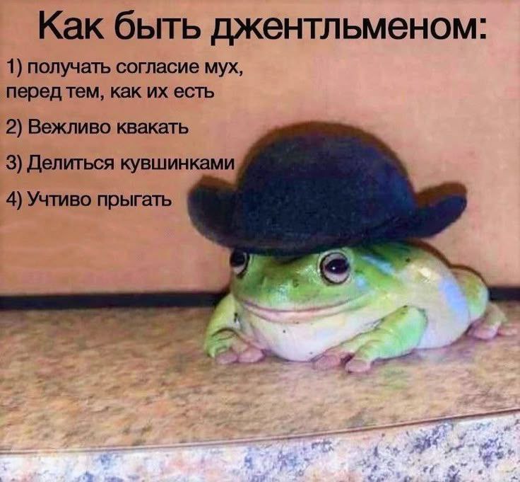 Утренняя подборочка