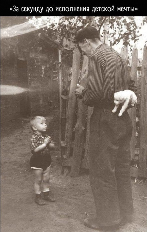 Детская радость ни с чем не сравниться ?