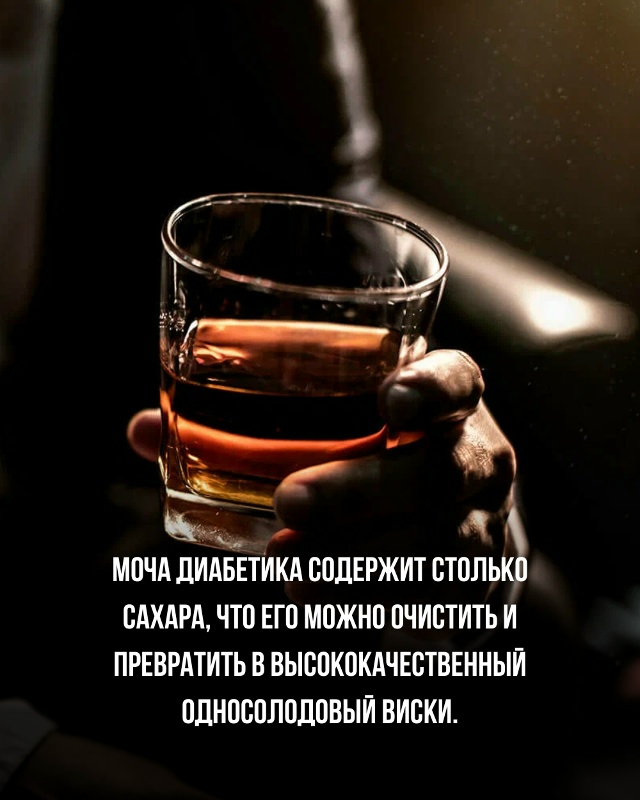Подборка познавательных фактов.