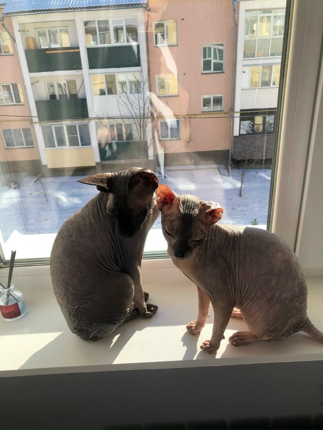 Вот так и живем