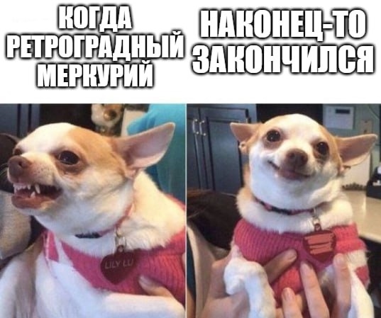 Ретроградный Меркурий – все
Чувствительные к таким а?...