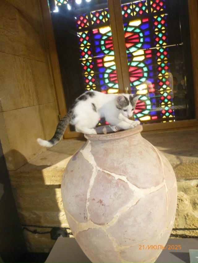 Экспонаты трогать нельзя, а котам можно все
г.Дербент